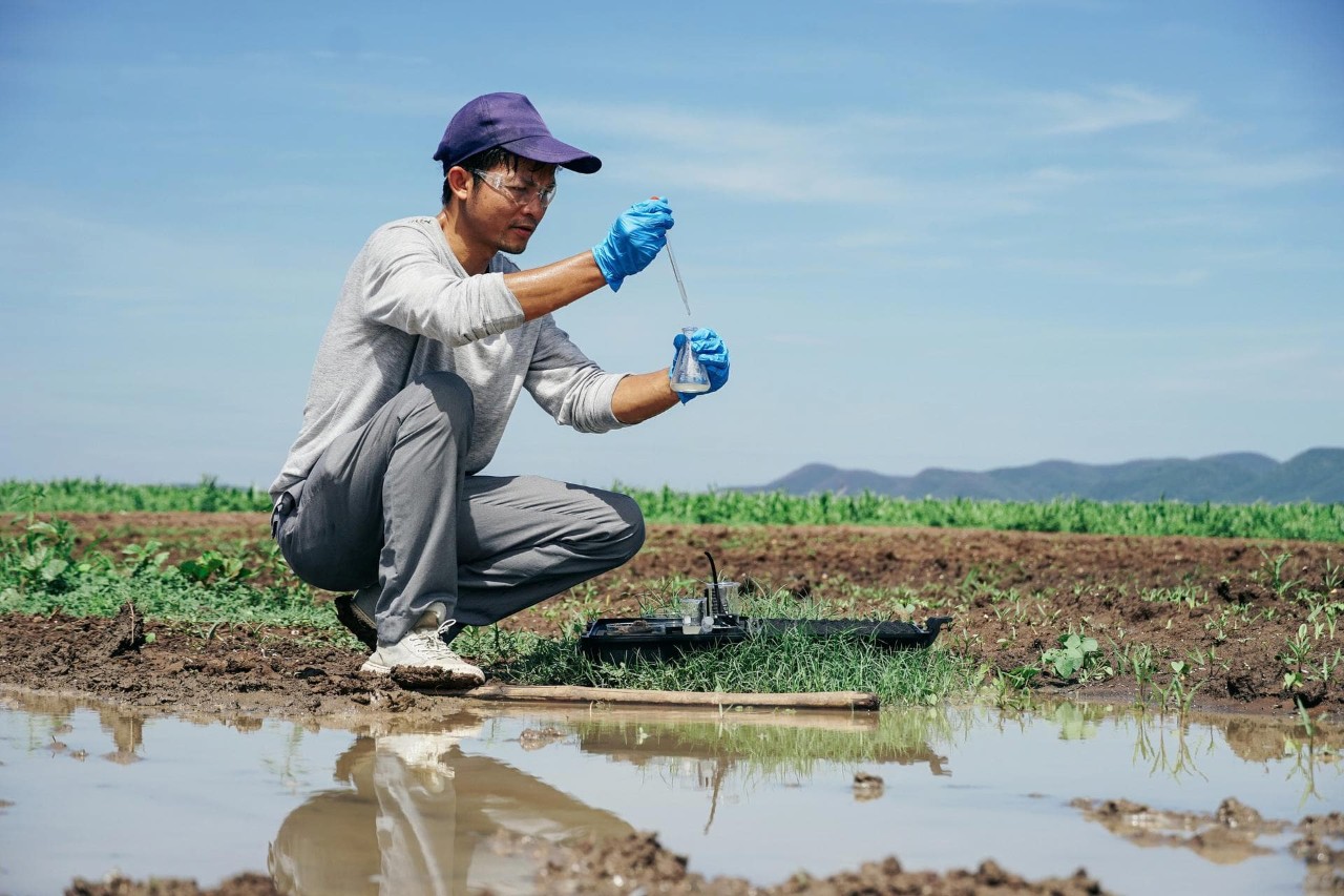 Male researcher collecting water and soil samples in an agricultural field, holding a pipette and dropping liquid into a beaker, testing the pH of the soil.